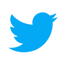 Twitter iPint accept cryptocurrency payments